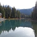 building-calm-waters-conifers-325947